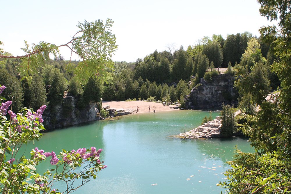 An image of the Elora Quarry taken from the top of the limestone cliffs overlooking the quarry basin and the water that is turquoise in colour, with the view of the beach far in the distance. There are a few people on the beach. The image also shows several of the cliffs and rocks that lead down into the water. Thick trees surround the landscape.