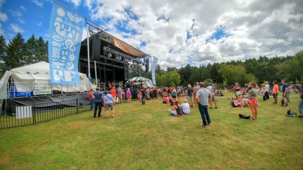 Early afternoon performance at Riverfest Elora 2016 in Elora's Bissell Park. A small and spread-out crowd is on the grass lawn before the main stage. A black fence runs along the front of the stage. Each side of the stage is flanked with a large light blue Riverfest Elora flag with white images on it.