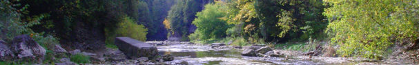 things to do in elora-fergus, elora gorge picture